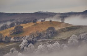 Winterwandern, © Wienerwald Tourismus GmbH / Andreas Hofer