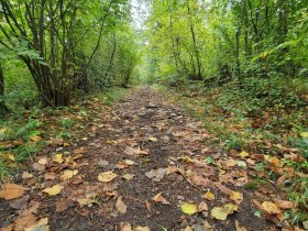 Waldlehrpfad, © Wienerwald