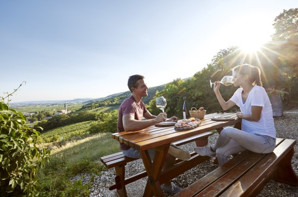 Genuss, Wienerwald, Hochkräutl, Gumpoldskirchen, © Niederösterreich Werbung/ Hauke Dressler