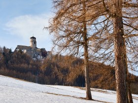 Araburg, © Wienerwald Tourismus GmbH / Andreas Hofer