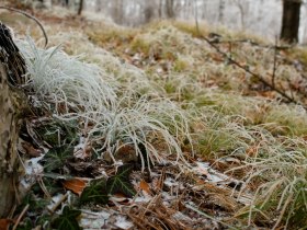 Winterwandern, © Wienerwald Touriusmus GmbH / Kerstin Semmelmeyer