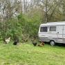 Camping-Finsterhof, © Camping Finsterhof