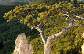 Peilstein Aussicht, © Wienerwald Tourismus