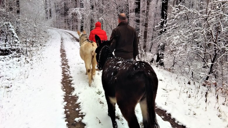 Winter Wunderwelt, © (Copyright Christine Plocek)