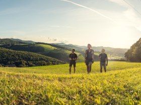 Der Beethoven Panoramaweg, © Wienerwald Tourismus GmbH / Christoph Kerschbaum