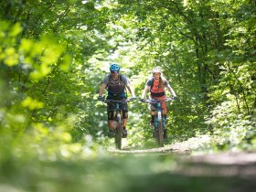 MTB im Wienerwald, © Niederösterreich Werbung / Markus Frühmann