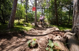 MTB Area Anninger, © Wienerwald Tourismus/TUES GmbH