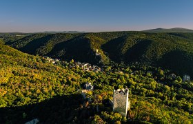 Burgruine Rauheneck, © Sascha Schernthaner