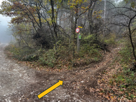 Forststraße: Zustieg zum "Weißer Weg", © Marktgemeinde Sooß