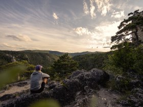 Wandern im Wienerwald, © Wienerwald / Studio Kerschbaum