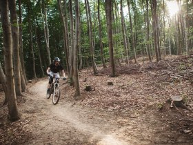 Trailpark Weidlingbach, © Wienerwald Tourismus GmbH/Markus Wessig