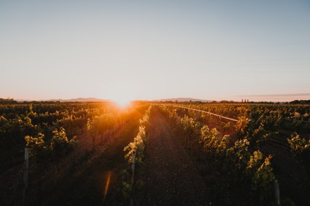 Thermenregion Wienerwald, © Weinland Thermenregion/Adrian Almasan