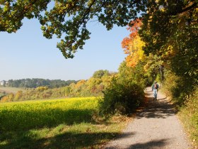 Am Waldrandweg, © Wienerwald