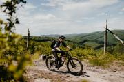 Mountainbiken im Wienerwald, © Österreich Werbung/Charly Schwarz