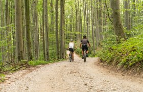 MTB Wienerwald, © Wienerwadl Tourismus GmbH / Christoph Kerschbaum