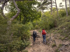 Wandern im Wienerwald, © Wienerwald /Studio Kerschbaum