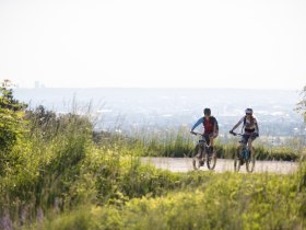 MTB Wienerwald, © Wienerwald Tourismus GmbH/Markus Frühmann