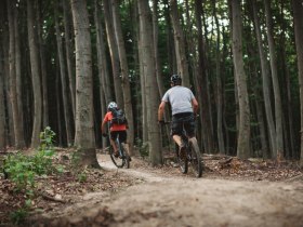 MTB Wienerwald, © Wienerwald Tourismus GmbH / Markus Wessig