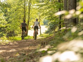 MTB Wienerwald, © Wienerwald Tourismus GmbH / Christoph Kerschbaum