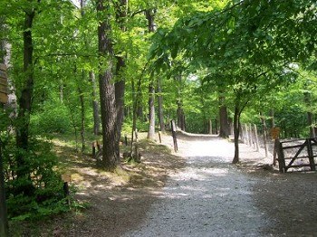 Der Wienerwald vor der Tür, © Elfriede Kazda