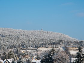 Harzberg, © Wienerwald Tourismus GmbH / Silke Ebster