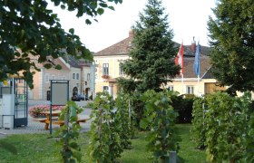 Hauptplatz Pfaffstätten, © Marktgemeinde Pfaffstätten