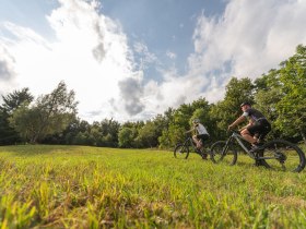 MTB Wienerwald, © Wienerwald Tourismus GmbH / Christoph Kerschbaum