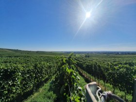 Landschaft, © Wienerwald