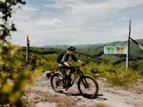 MTB Wienerwald Trails, © Österreich Werbung/Charly Schwarz