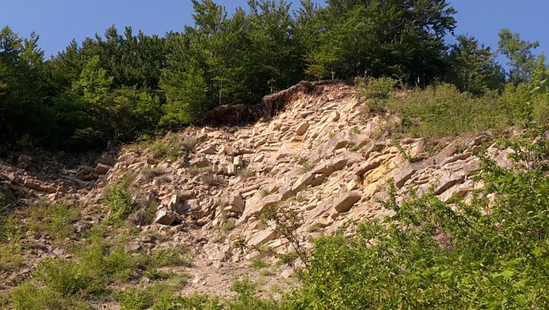 Die natürliche Kulisse im Steinbruch Dambach, © Theater Purkersdorf