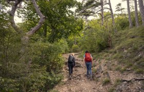 Wandern im Wienerwald, © Wienerwald /Studio Kerschbaum