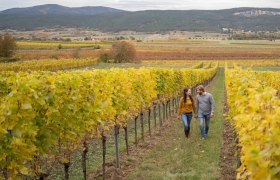 Julia und Manuel Herzog, Weingut Herzog, Brunngasse, Bad Vöslau, © Anna Herzog