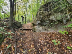 Waldlehrpfad, © Wienerwald