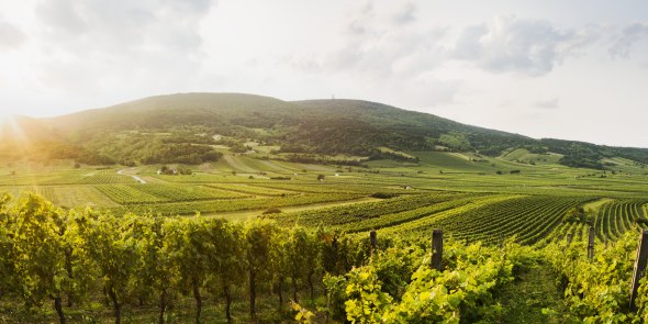 Thermenregion Wienerwald, © Niederösterreich Werbung/Michael Liebert