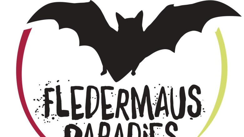 Fledermaus, © Marktgemeinde Pfaffstätten