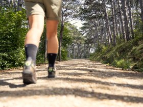 Wandern im Wienerwald, © Wienerwald / Studio Kerschbaum