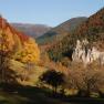 Der Wienerwald, © Gasthaus Bruthenne