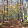 Wanderwege im Wienerwald, © Elfriede Kazda