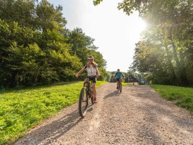 MTB Wienerwald, © Wienerwald Tourismus GmbH / Christoph Kerschbaum