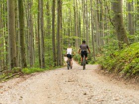 MTB Wienerwald, © Wienerwadl Tourismus GmbH / Christoph Kerschbaum