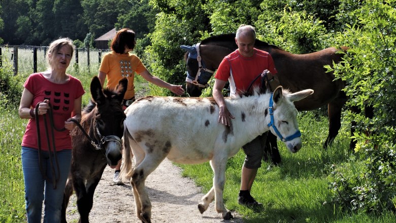 Begegnung unterwegs, © (Copyright Christine Plocek)