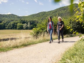 Wandern im Wienerwald, © Wienerwald / Studio Kerschbaum