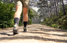 Wandern im Wienerwald, © Wienerwald / Studio Kerschbaum