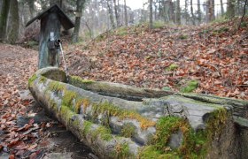 Föhrenbrunnen, © Wienerwald