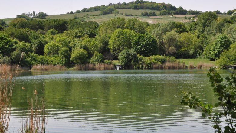 Winradlteich, © Marktgemeinde Guntramsdorf