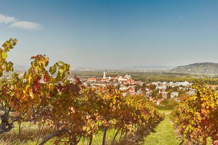 Weinherbst Klosterneuburg Wienerwald, © Niederösterreich Werbung / Michael Liebert