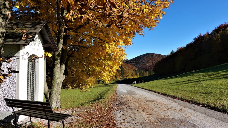 Kapelle auf der Straße zum Araburgparkplatz, © Kaumberg/Morgner Michael