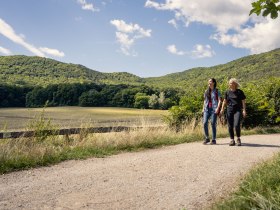 Wandern im Wienerwald, © Wienerwald / Studio Kerschbaum