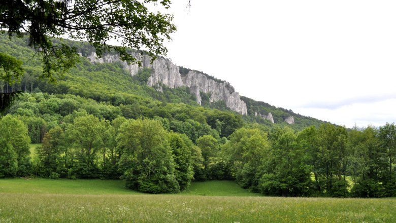 Peilstein Kletterwand, © Wienerwald Tourismus