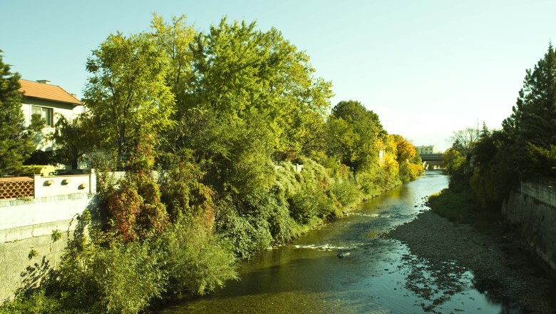 Gleich neben unserem Hotel und unter der Erzherzog Rainer Brücke hat der Fluss-Schwechat sein Bett., © Schwertfuehrer Christian